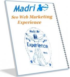 Seo Web Marketing Experience